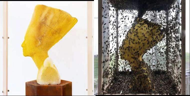 用6萬隻蜜蜂建造蜂巢雕塑，賣價百萬，藝術家真會賺錢