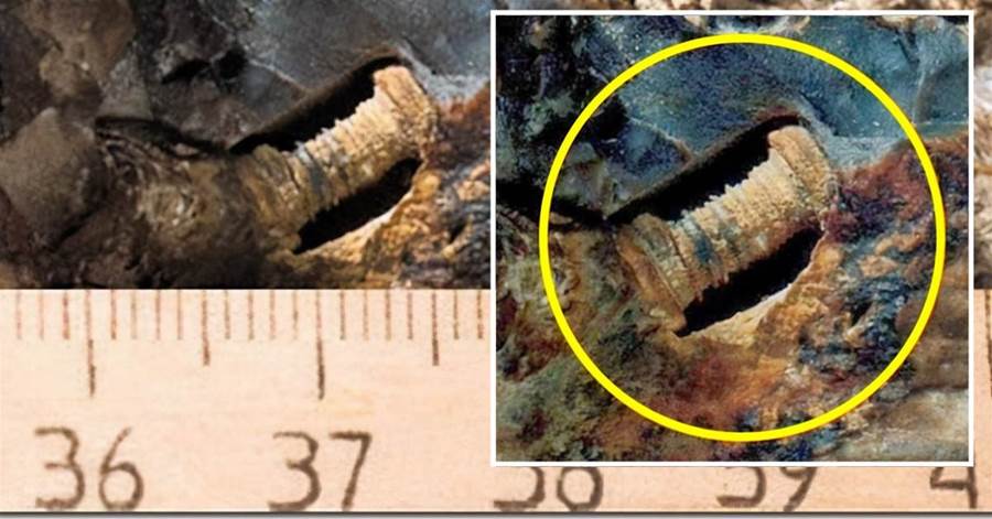 科學家在3億年前隕石中發現「鐵螺絲」，揭開了一個史前巔峰時代