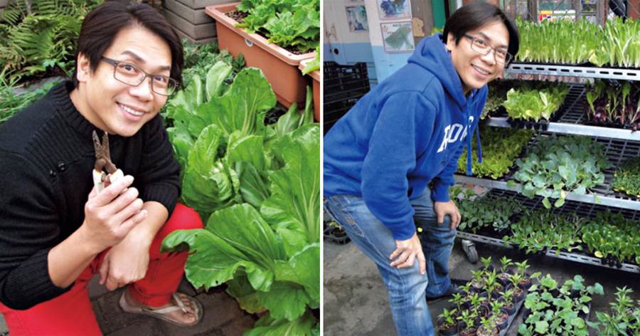 55歲許傑輝珍惜老婆不生小孩「樓頂變菜園」當城市農夫「自己種菜自己吃」自歎「不僅僅是為吃菜」：是一種慰藉也是一種修行